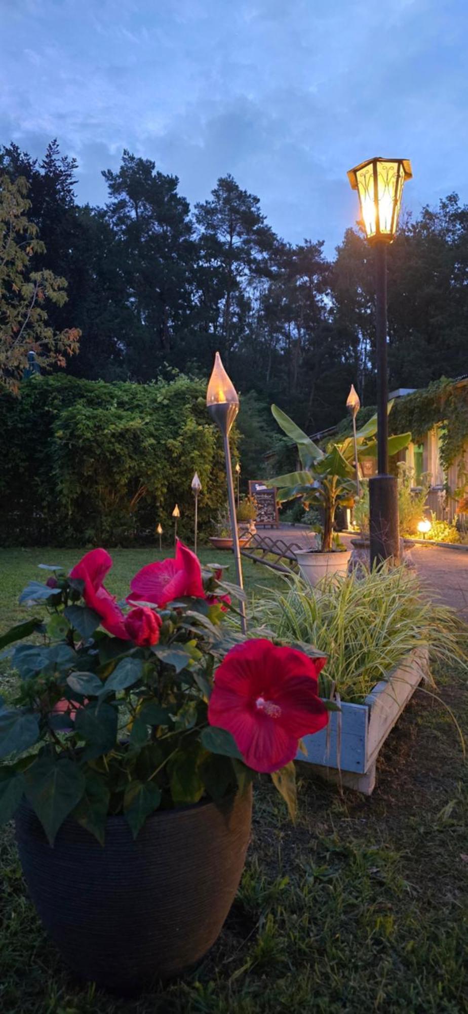 Waldpension Gussow Heidesee Екстериор снимка