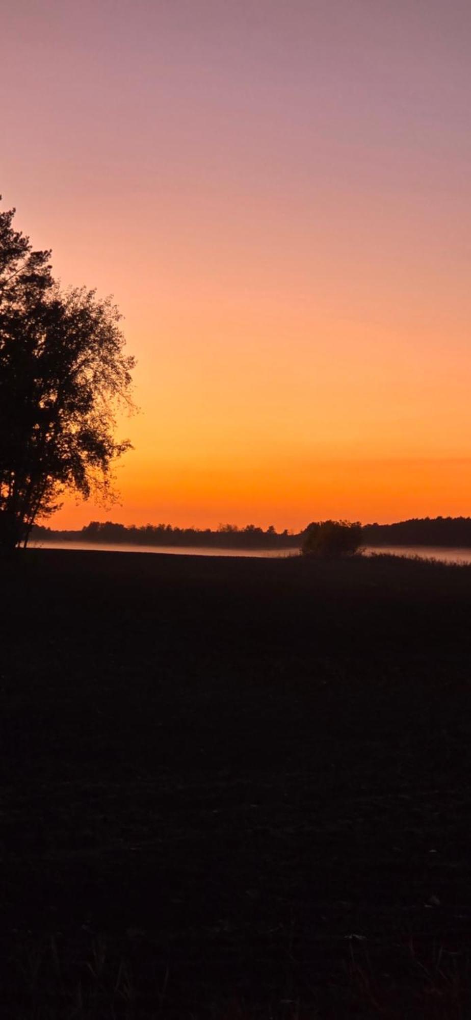 Waldpension Gussow Heidesee Екстериор снимка